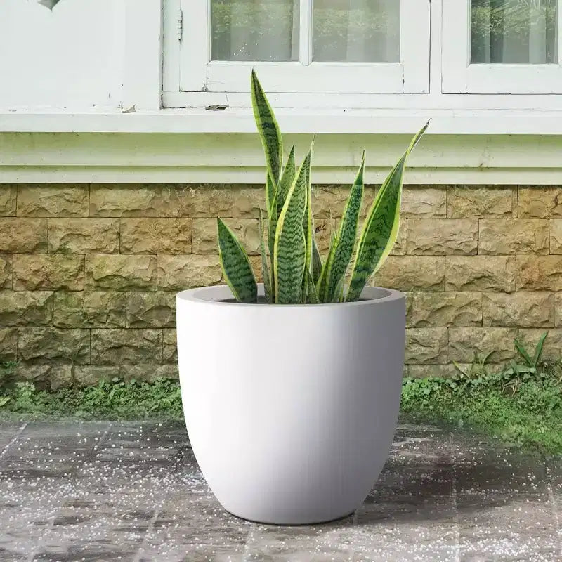 Pot de fleurs d'extérieur en béton, blanc crayeux