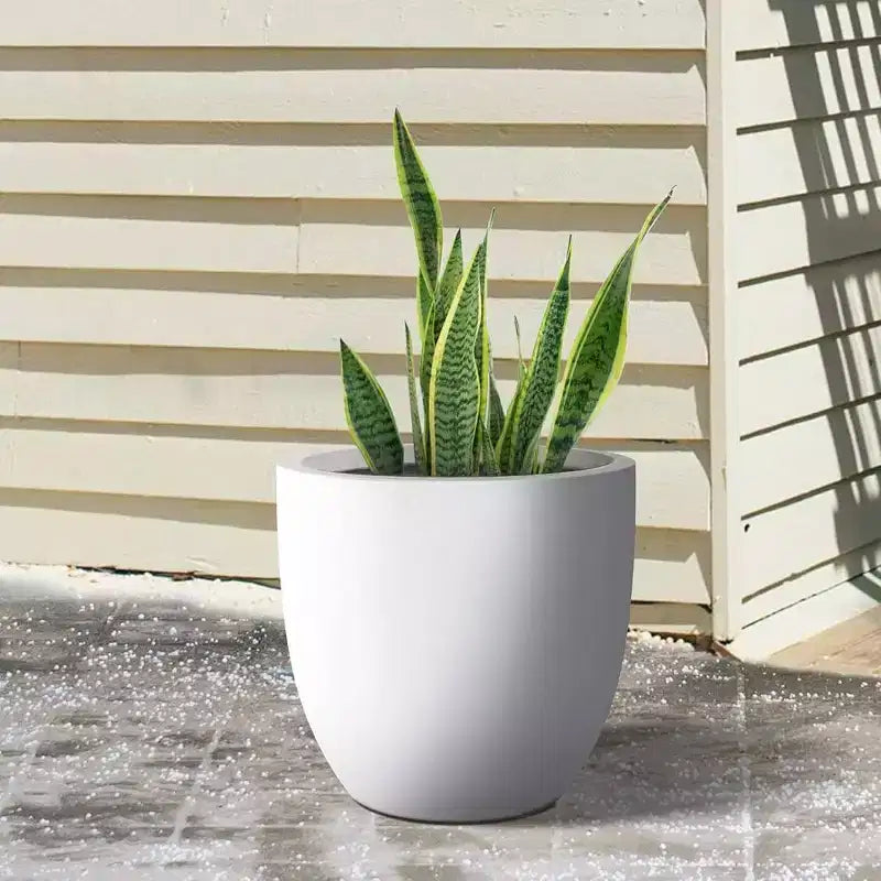 Pot de fleurs d'extérieur en béton, blanc crayeux