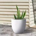 Pot de fleurs d'extérieur en béton, blanc crayeux