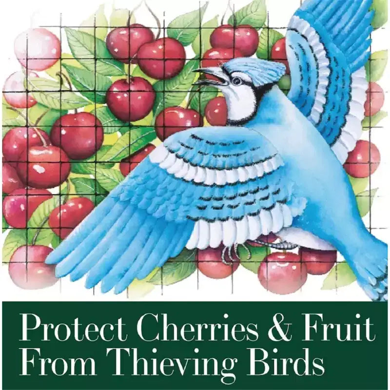 Filet de protection pour arbres fruitiers