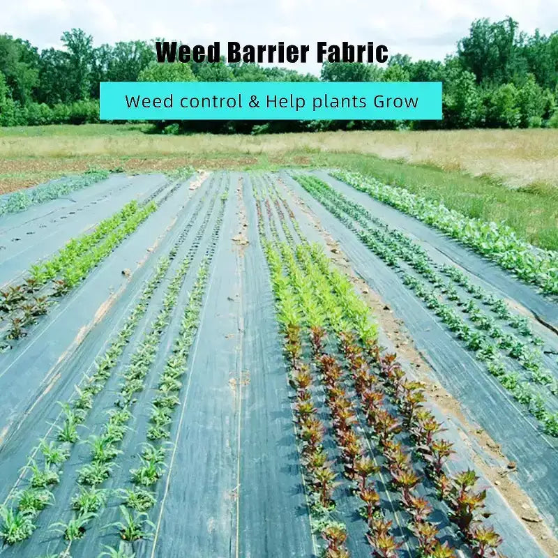 Tissu anti-mauvaises herbes de qualité professionnelle, une toile de paillage robuste adaptée aux jardins et aux allées.