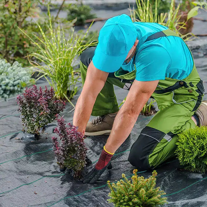 Toile de paillage, toile géotextile tissée robuste avec perméabilité à l'eau pour allées de jardin et aménagement paysager