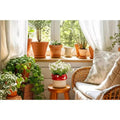 Decorative Ceramic and Porcelain Mushroom-Shaped Design Planter - Indoor Home and Outdoor Garden Decor - 5 White