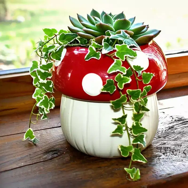 Pot de fleurs décoratif en céramique en forme de champignon