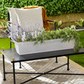 Jardinière décorative de rebord de fenêtre avec plateau amovible, blanche