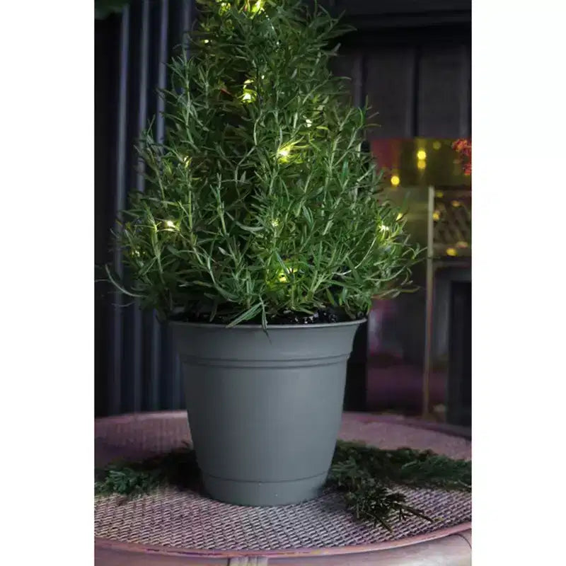 Pots de fleurs ronds classiques avec soucoupe, pour l'intérieur et l'extérieur